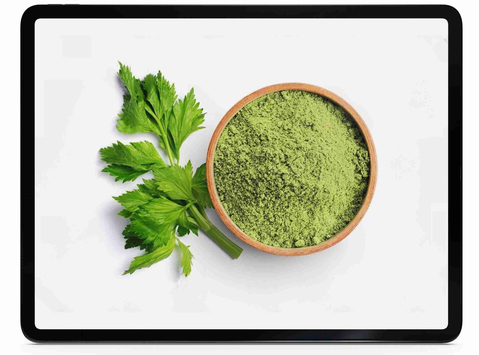 Dehydrated coriander leaves powder.jpg load=